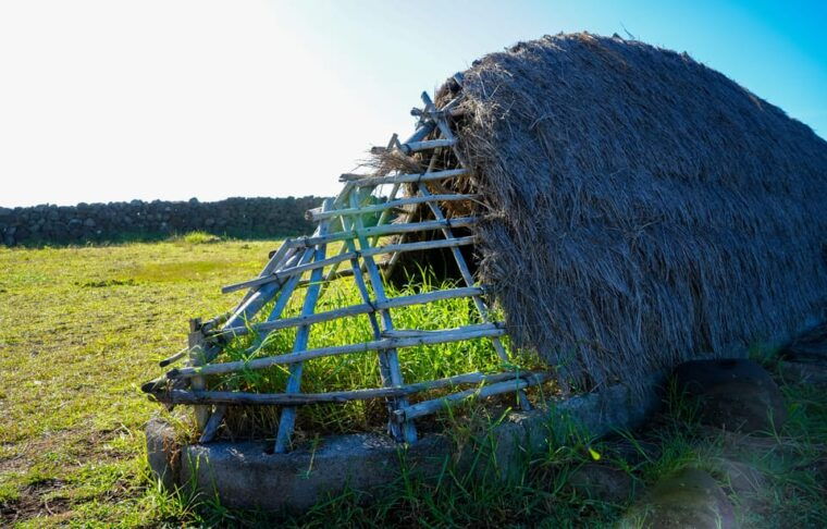 easter-island-moai-full-day-private-tour