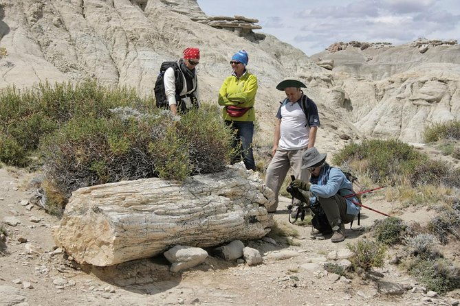 el-calafate-day-trip-to-the-spectacular-petrified-forest-la-leona