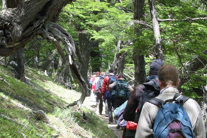 el-chalten-full-day-free-trek-from-el-calafate