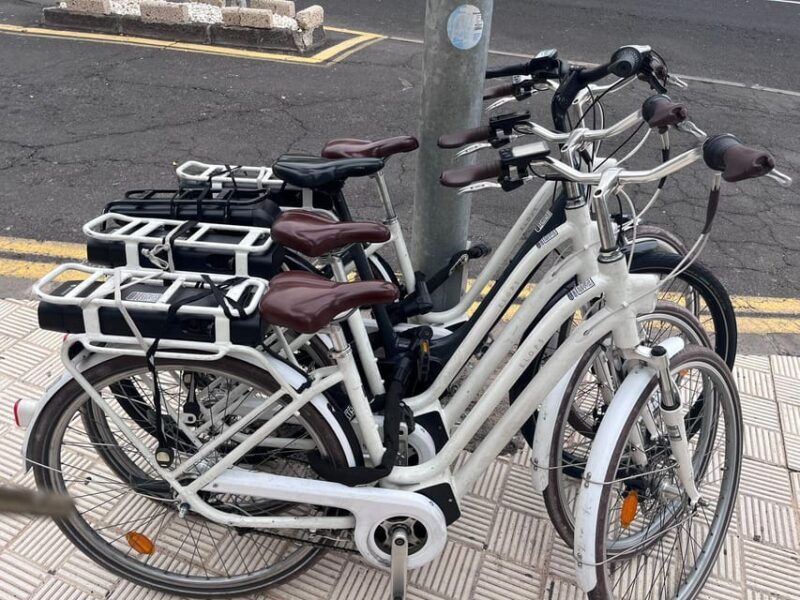 electric-city-bike-rental-with-hotel-delivery