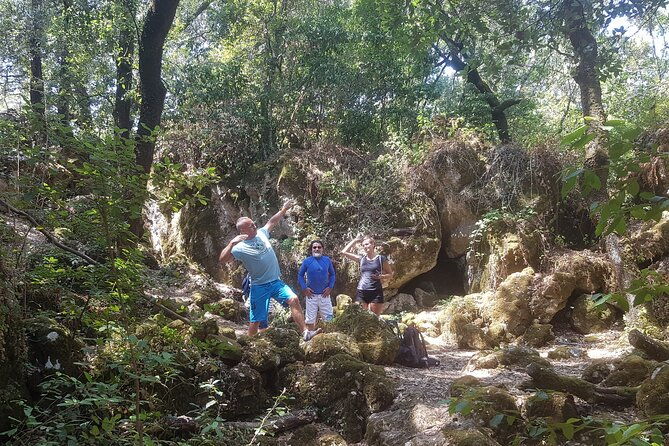 enchanted-forest-hike-and-wine-tasting-private-tour