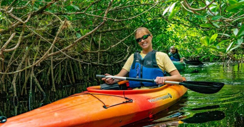 everglades-city-guided-kayaking-tour-with-and-airboat-ride