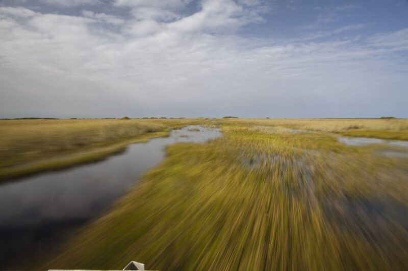 everglades-day-safari-from-fort-lauderdale