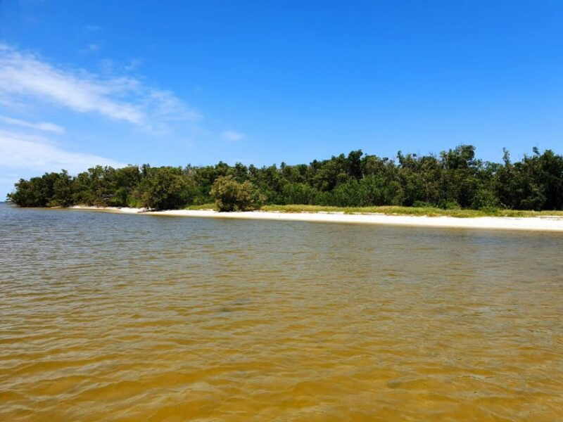 everglades-national-park-motorboat-eco-tour