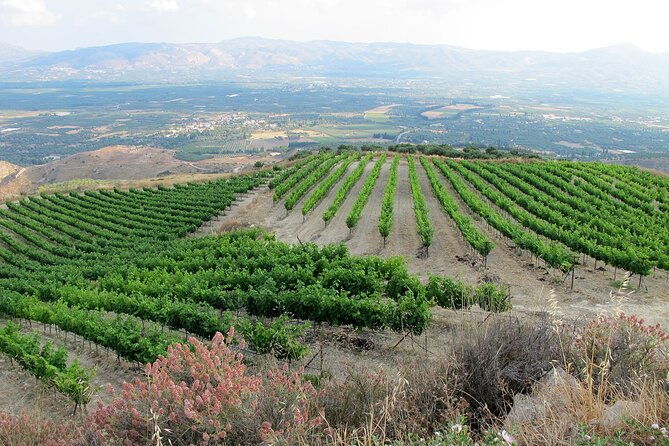 exclusive-jeep-tour-south-crete-winery-donkeys-secret-beach