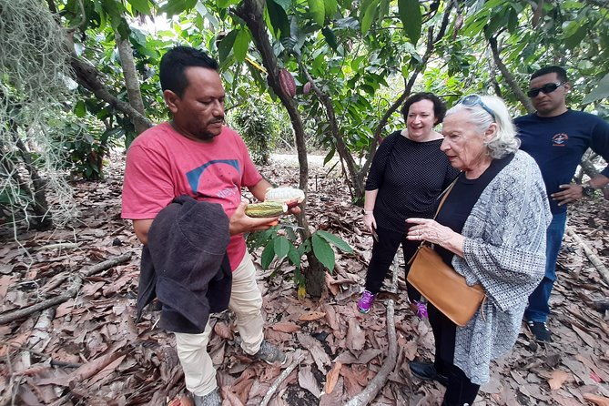excursion-day-to-cocoa-farm-from-guayaquil