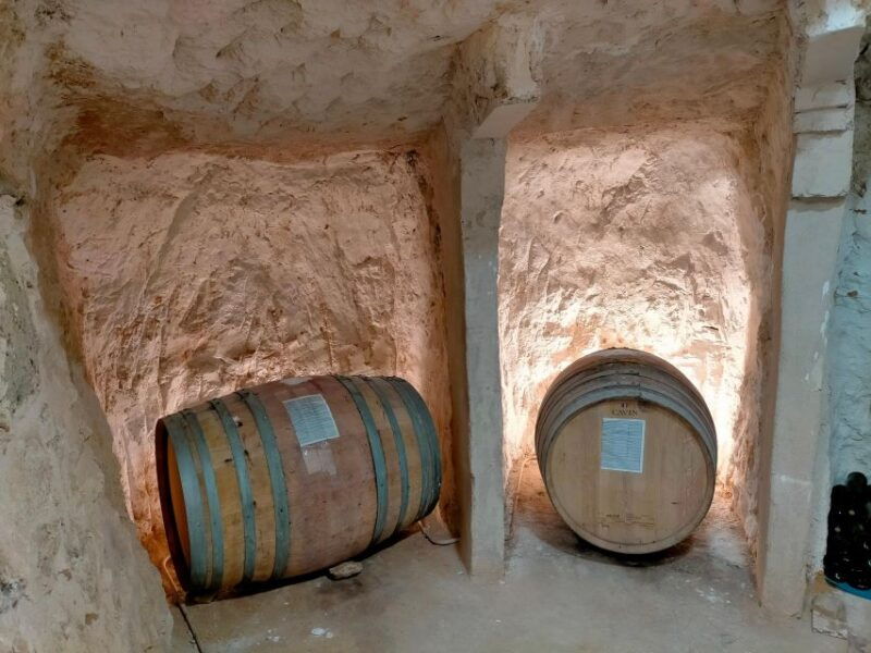 explore-3-ribera-del-duero-wineries-with-madrid-pickup