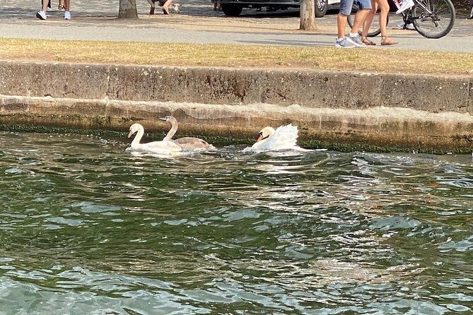 explore-bird-marine-wildlife-private-boat-tour-in-english