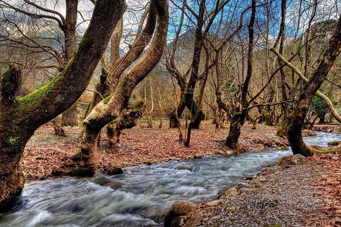explore-nature-history-in-kalavryta