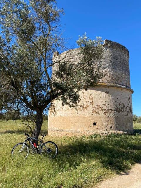 explore-the-beauty-of-porto-selvaggio-bike-tour