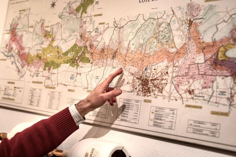 %f0%9f%8d%b7-masterclass-pinot-noir-wine-tasting-in-dijon-%f0%9f%87%ab%f0%9f%87%b7