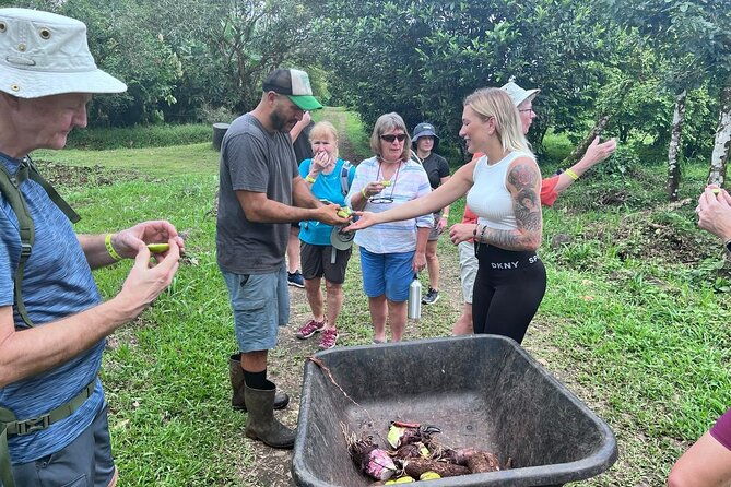 farm-to-table-food-experience-2