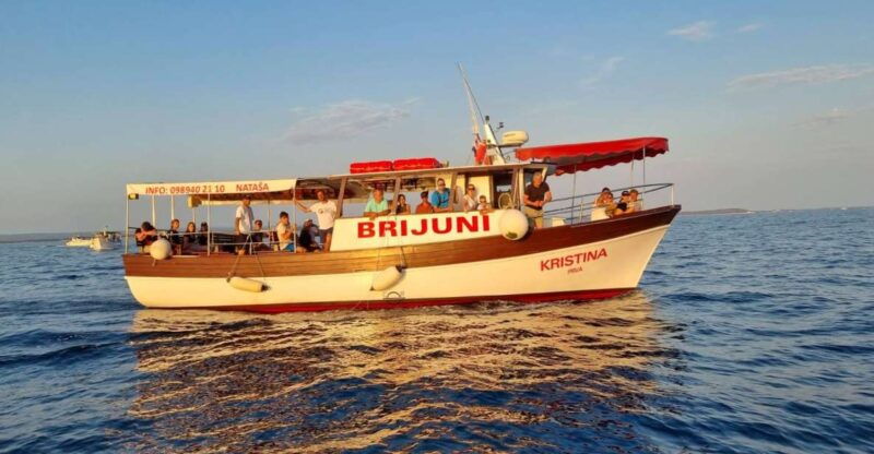 fazana-guided-dolphin-watching-sightseeing-cruise-at-sunset