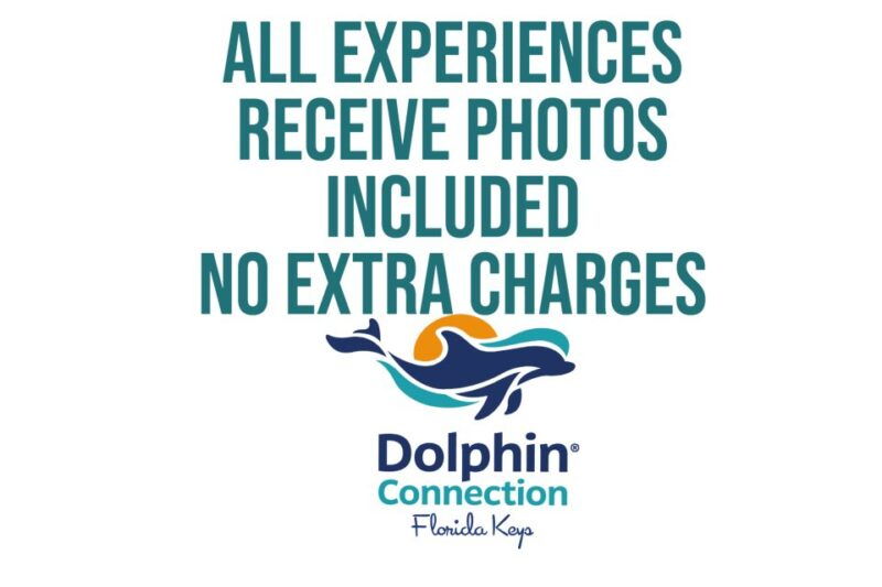 florida-keys-dockside-dolphin-experience