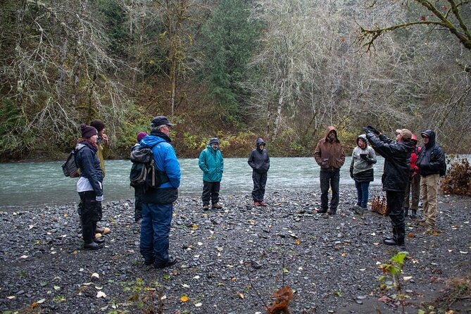 foraging-tour-of-edible-plants-and-mushrooms-in-brinnon