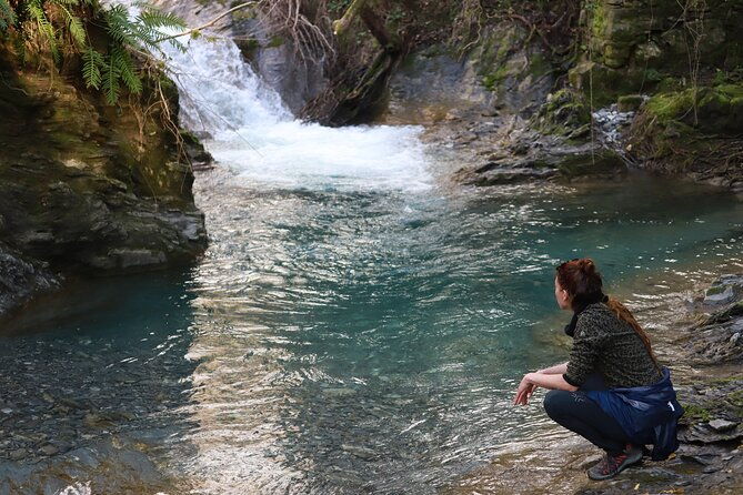 forest-bathing-in-tuscany-with-wild-crafted-tea