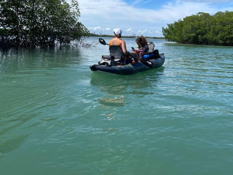 fort-pierce-6-hr-mangroves-coastal-rivers-wildlife-in-fl