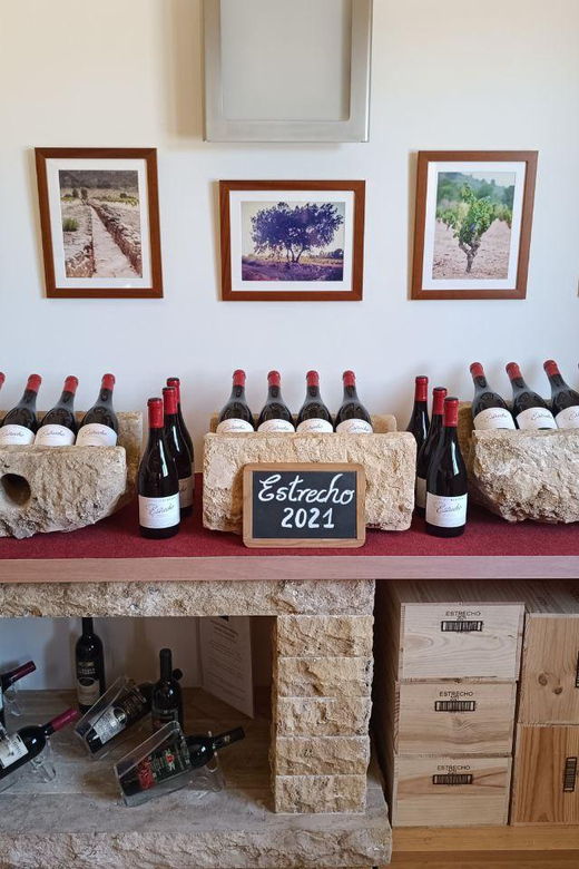 from-alicante-benidorm-winery-tour-and-wine-tasting