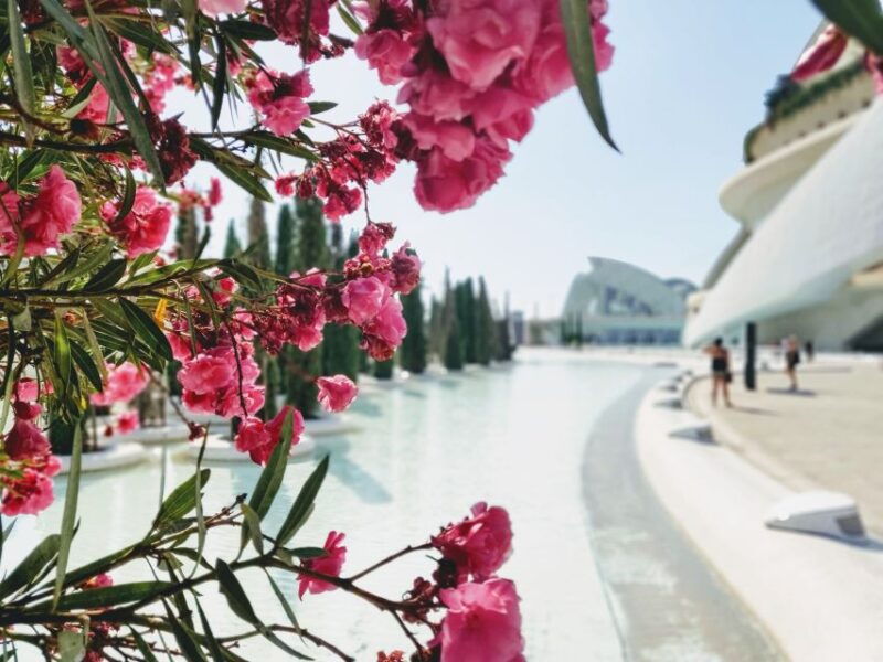 from-alicante-valencia-full-day-guided-tour