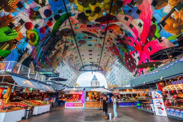from-amsterdam-rotterdam-the-hague-delft-private-tour