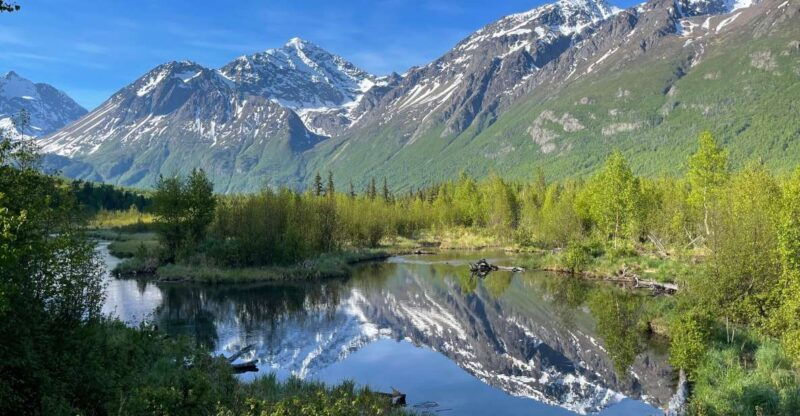 from-anchorage-valley-and-forest-hike-with-naturalist-guide