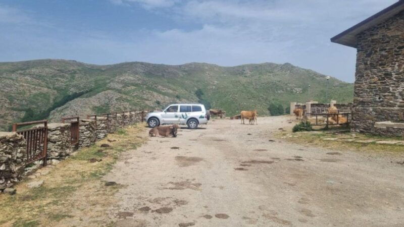 from-arbatax-barbagia-jeep-tour-and-lunch-at-the-shepherds