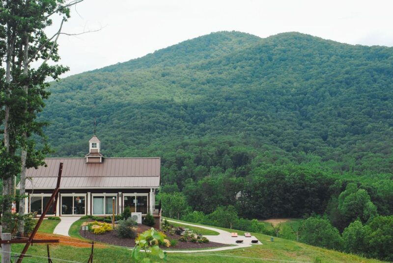 from-atlanta-north-georgia-wine-country-tour