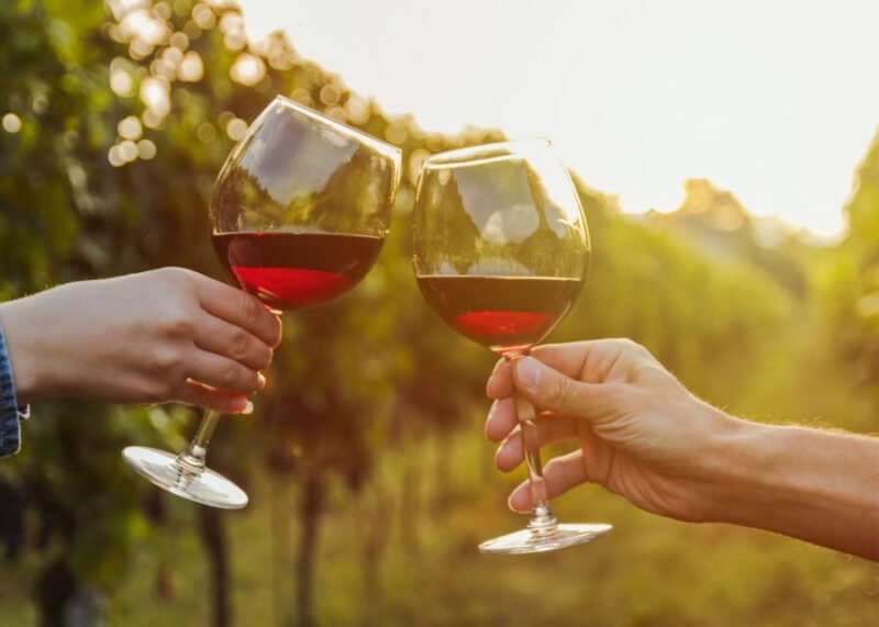 from-austin-half-day-hill-country-wine-shuttle