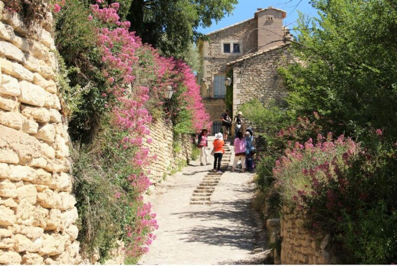 from-avignon-full-day-experience-in-luberon-with-lunch