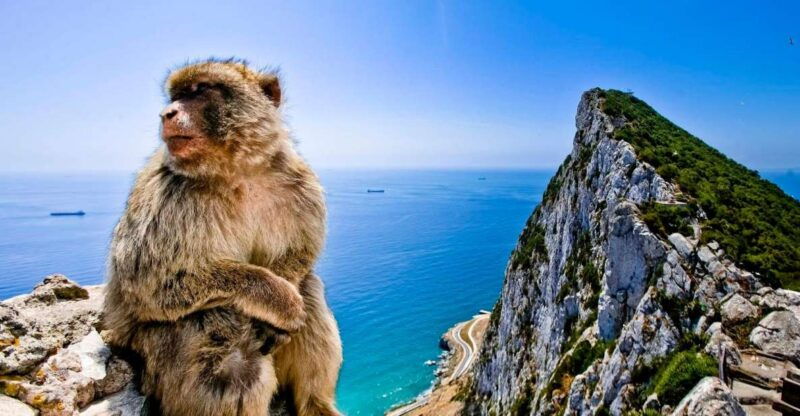 from-cadiz-private-day-trip-to-gibraltar-and-bolonia