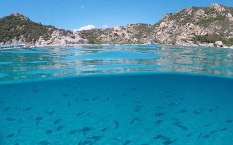 from-cannigione-catamaran-tour-among-la-maddalena-islands