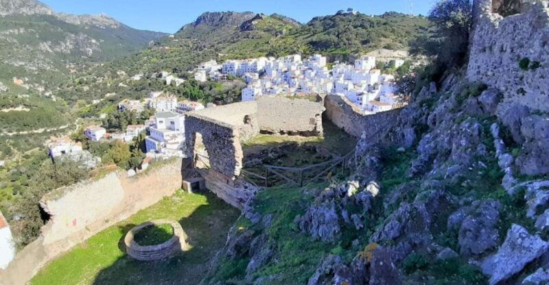 from-costa-del-sol-casares-private-tour