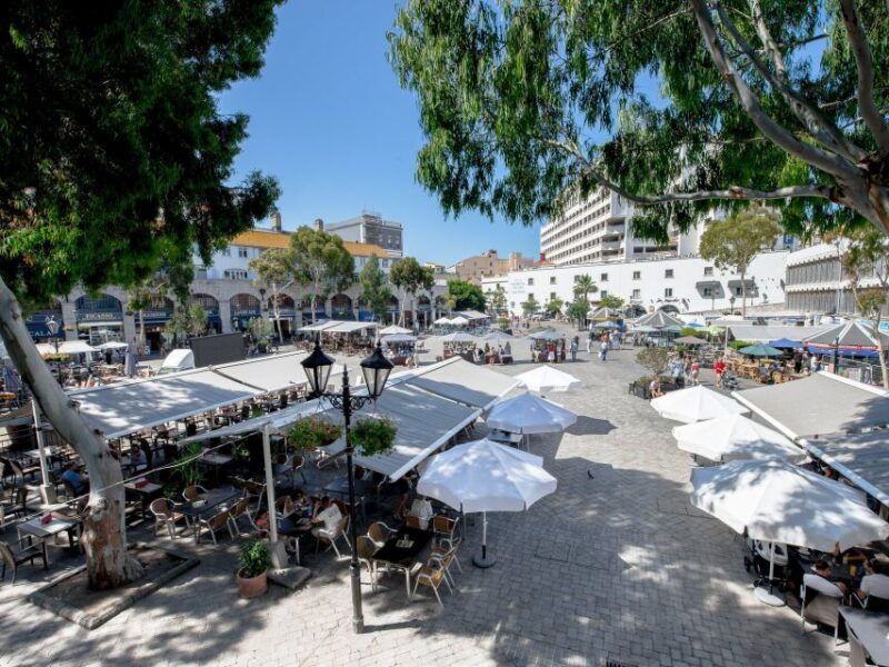from-costa-del-sol-gibraltar-day-trip-with-free-time