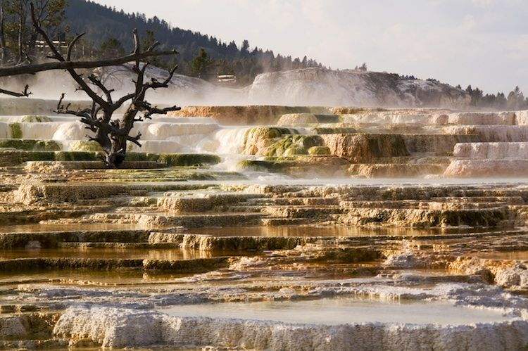 from-jackson-2-day-grand-teton-and-yellowstone-tour