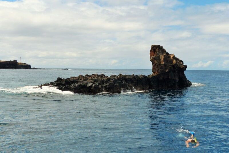 from-maalaea-am-turtle-town-snorkel-aboard-quicksilver
