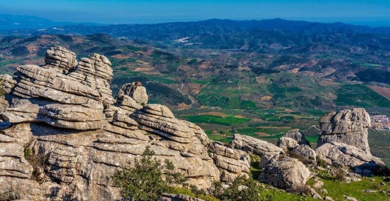 from-marbella-antequera-wine-tour-with-tastings-and-lunch