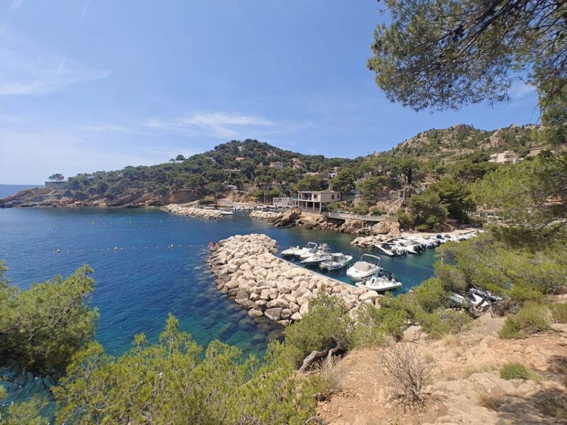 from-marseille-to-the-calanques-blueues-by-train-hike-lagoons-and-villages