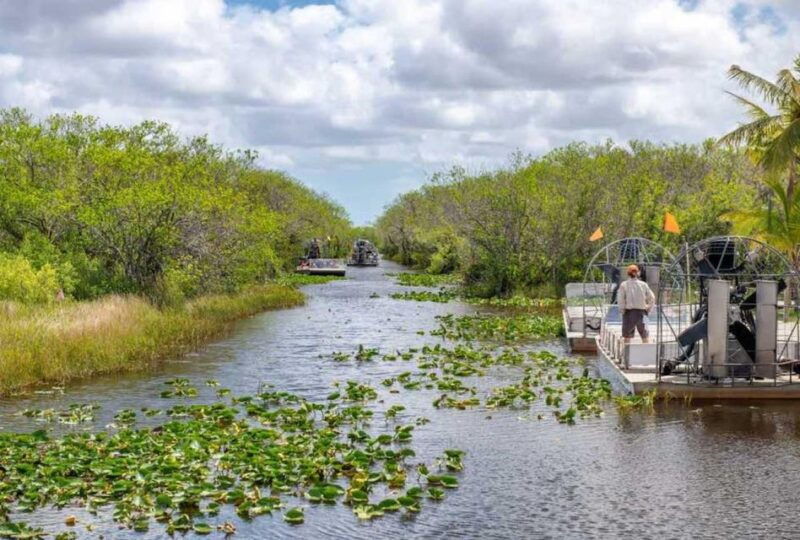 from-miami-everglades-wildlife-show-airboat-bus-transfer