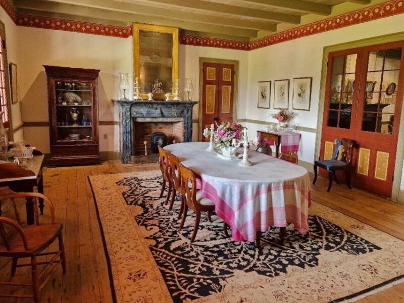from-new-orleans-oak-alley-or-laura-plantation-tour