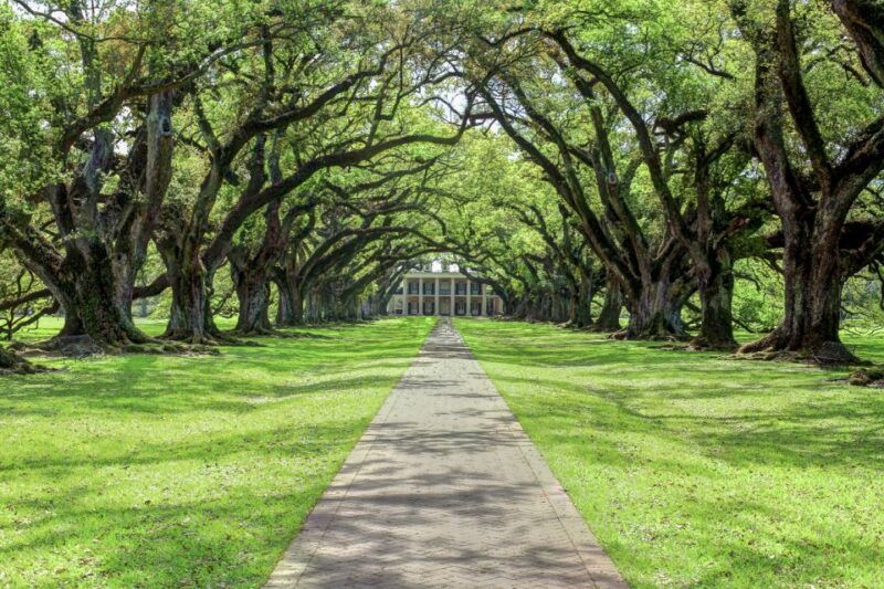 from-new-orleans-oak-alley-plantation-tour