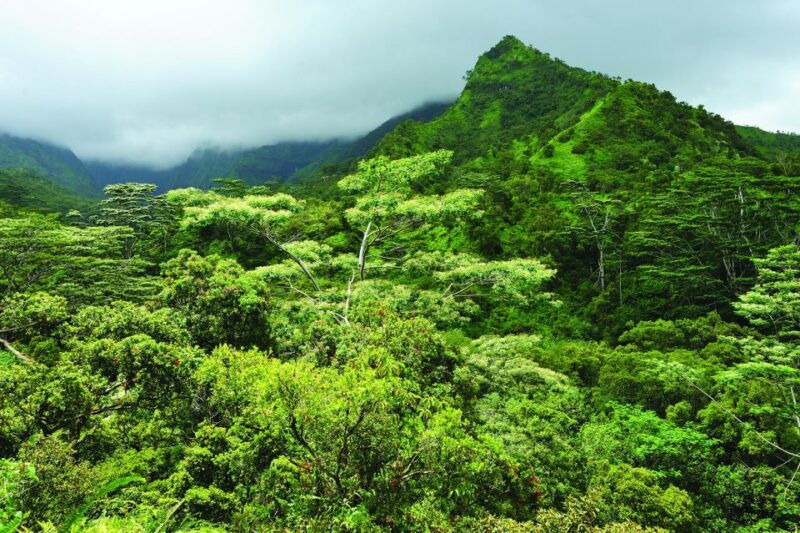 from-oahu-kauai-highlights-movie-sites-helicopter