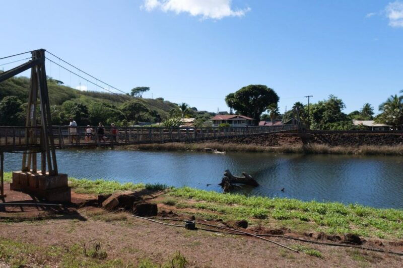 from-oahu-kauai-waimea-canyon-and-kokee-state-park-tour