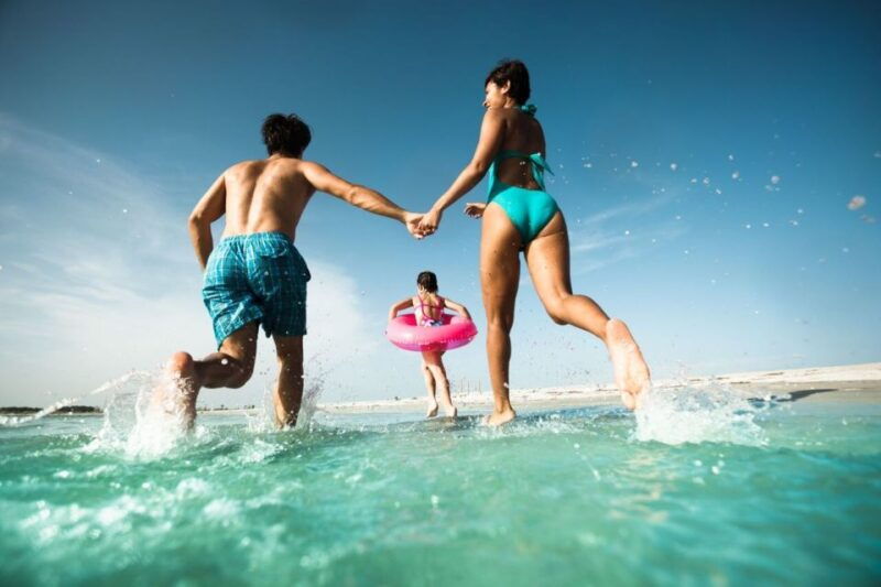 from-orlando-clearwater-beach-and-marine-aquarium-admission