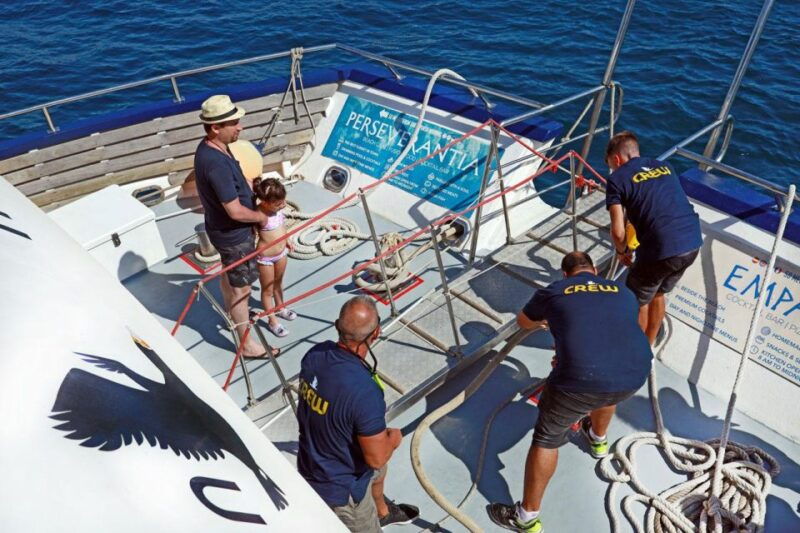 from-palma-3-hour-morning-dolphin-watching-boat-tour