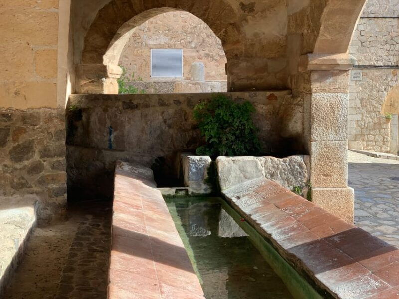 from-palma-valldemossa-tour-and-mountain-viewpoint-hike