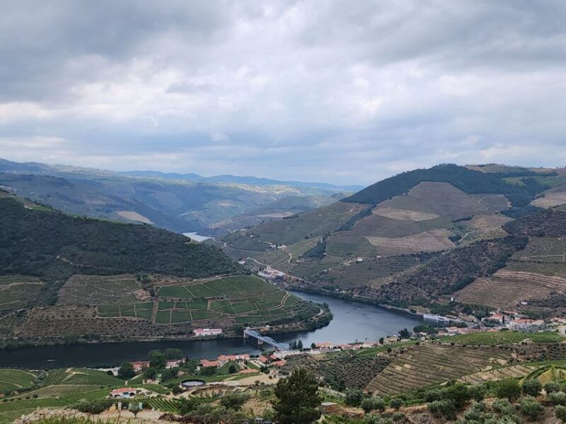 from-peso-da-regua-visit-3-wineries-tasting-and-viewpoint