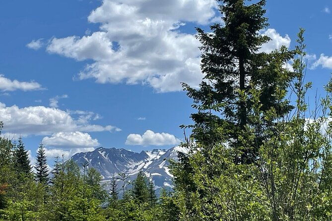 from-portland-to-mt-saint-helen-tour-in-a-small-group
