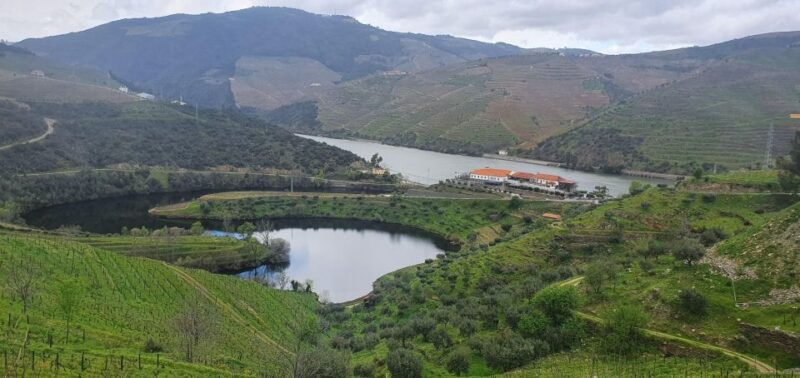 from-porto-day-douro-valley-wine-tour-2-wineries-lunch