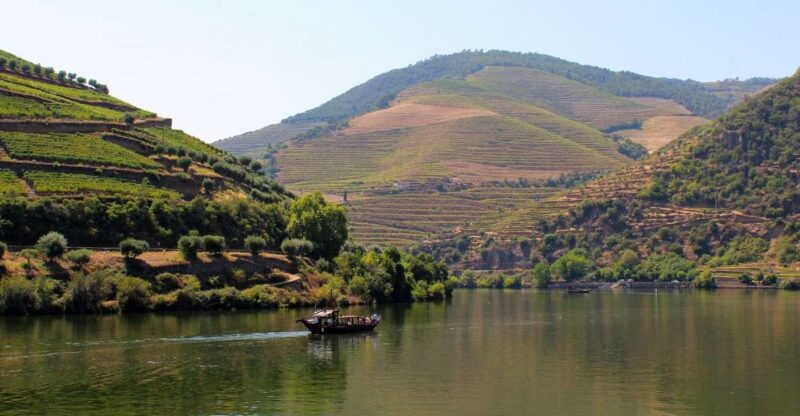 from-porto-douro-valley-tour-with-tastings-boat-lunch