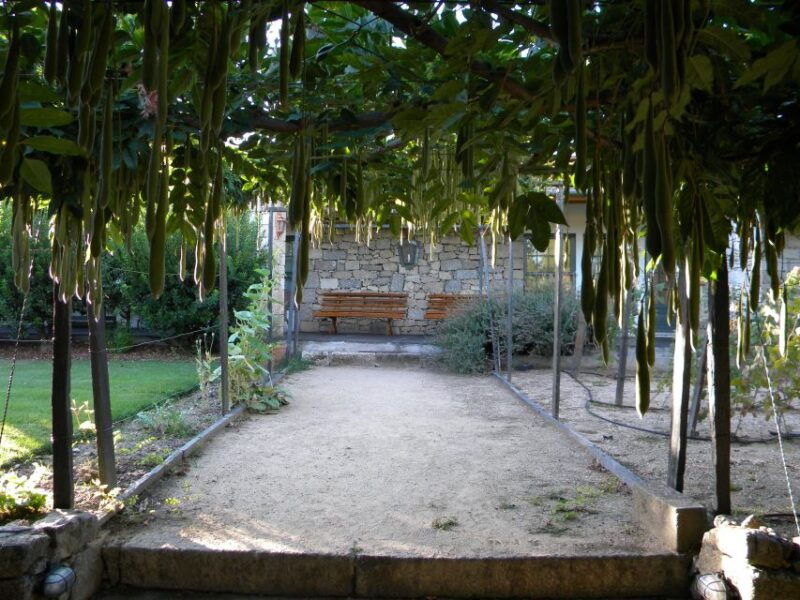 from-porto-private-douro-valley-tour-with-booking-service